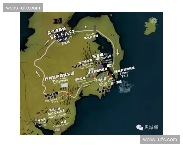一位爱尔兰小球迷举牌寻找失散多年的球迷祖父，引发网络助力